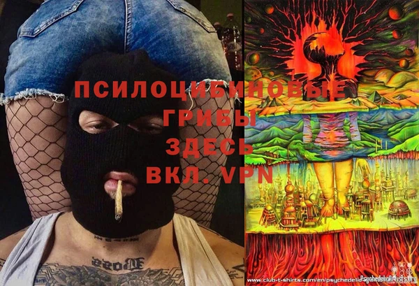 дурь Нягань