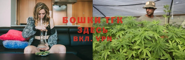 индика Нязепетровск