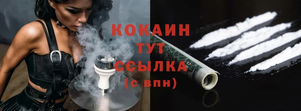 бошки Няндома