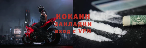 шишки Новокубанск