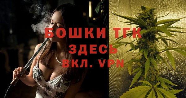 индика Нязепетровск