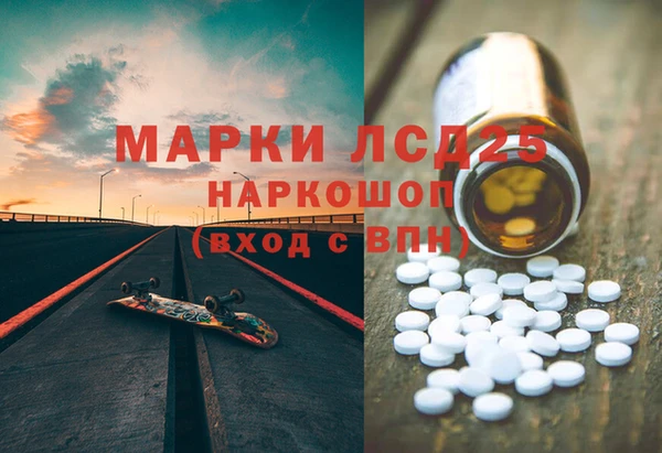шишки Новокубанск