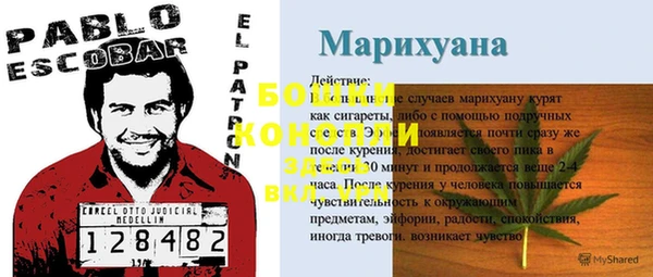 скорость Новозыбков