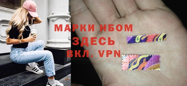 шишки Новокубанск