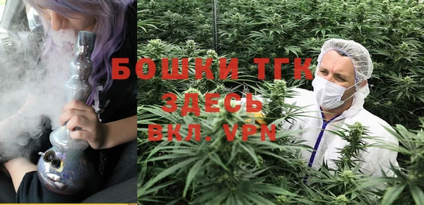 соль курить ск Новодвинск