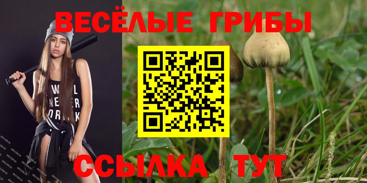 Псилоцибиновые грибы мицелий  цены   Галлюциногенные грибы MAGIC MUSHROOMS  Майский 