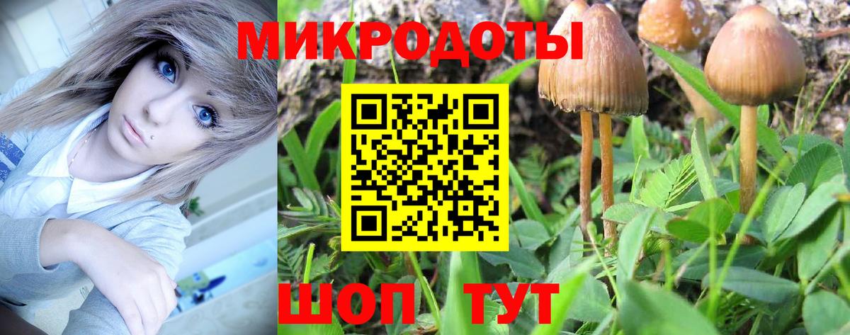 Галлюциногенные грибы мухоморы Майский